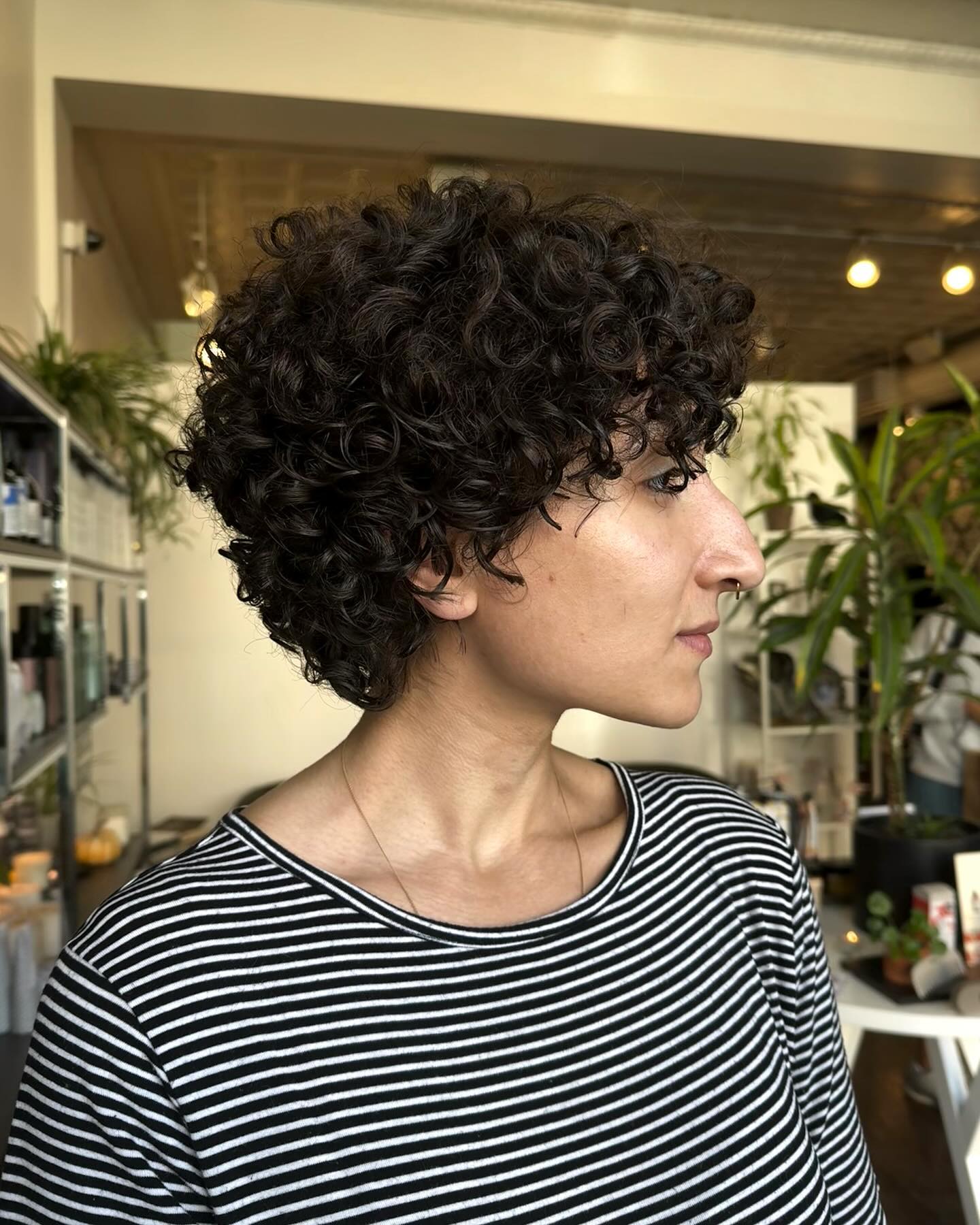 43. the Modern Curly Crop
