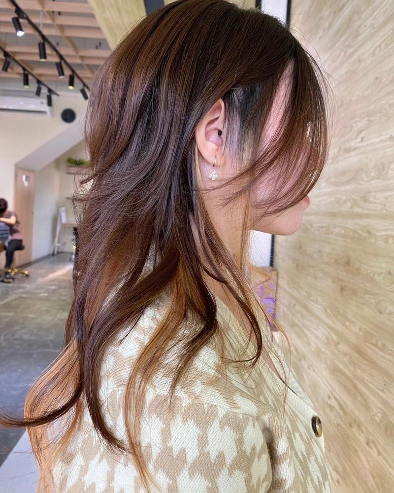 45. Chestnut Brown Wolf Cut with Caramel Underslights