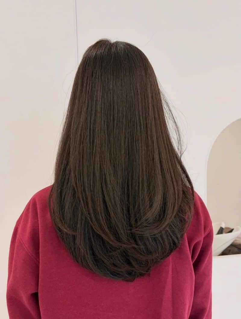 50. Chestnut U-Cut with Soft Layers