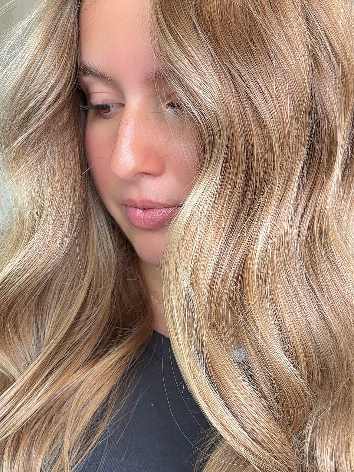 28. Honey and Wheat Highlights