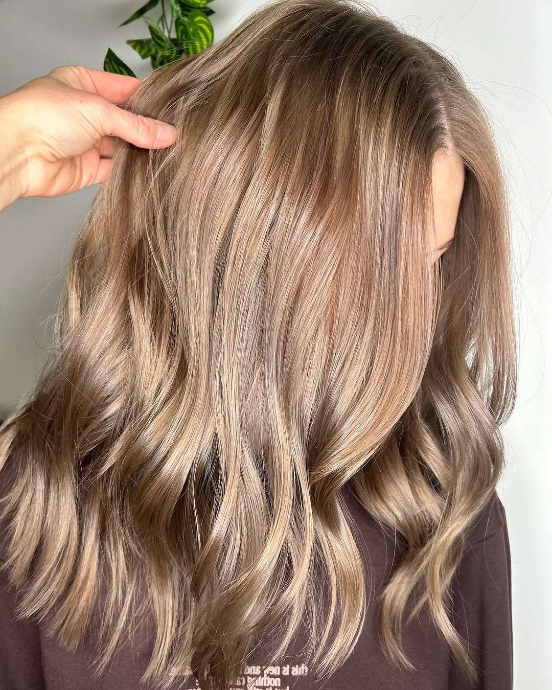 33. Mushroom Brown Dimensional Waves
