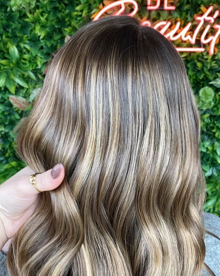 11. Rooted Dimensional Highlights
