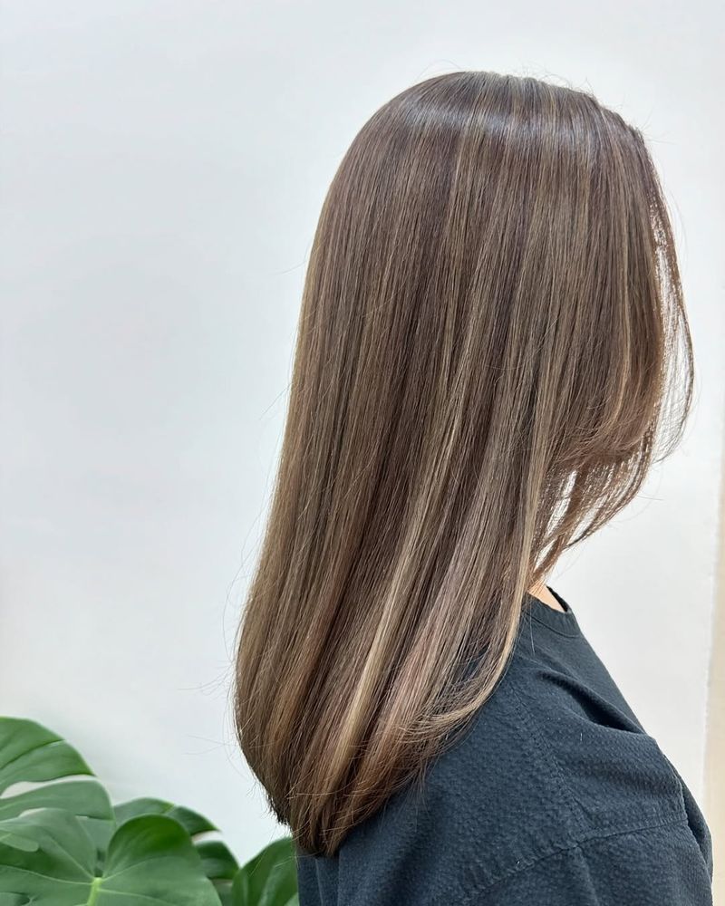 19. Silky Ash Brown Highlights