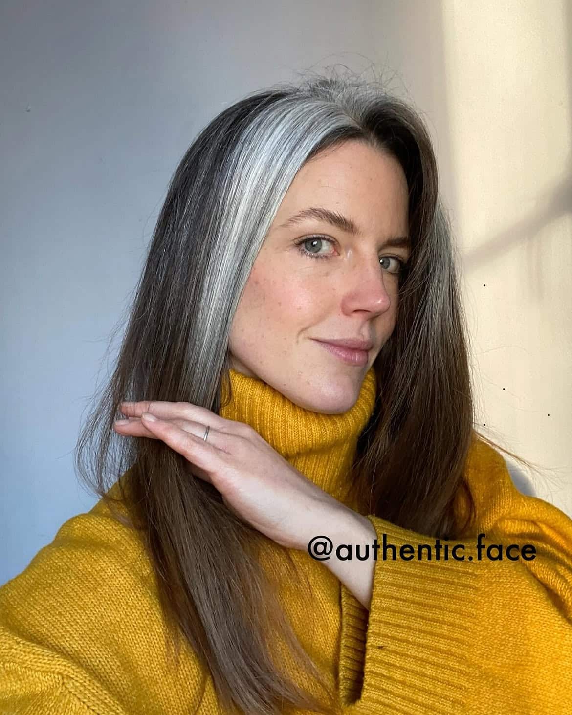 28. Stark Silver Skunk Stripe