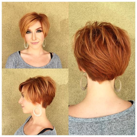 46. Copper Stacked Pixie Bob