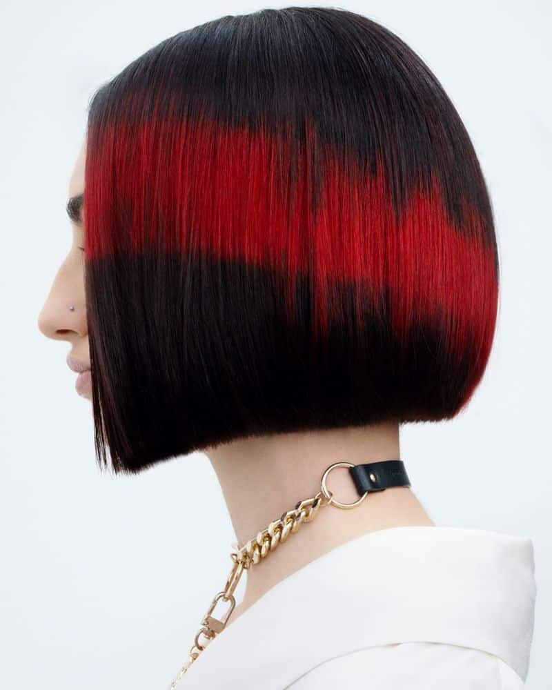 35. Crimson Banded Bob