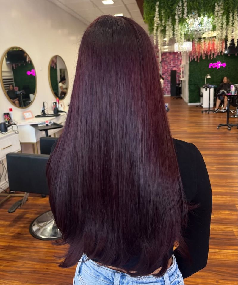 17. Deep Plum Glass Hair