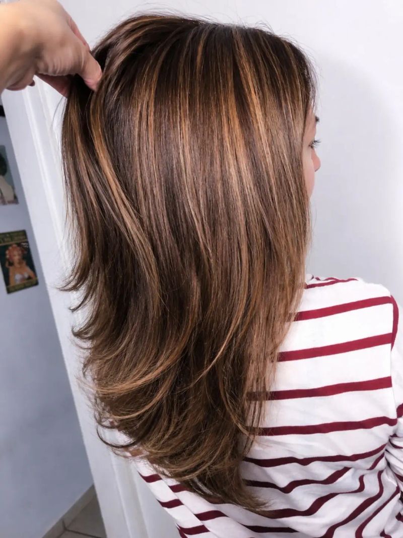 30. Dimensional Chestnut and Penny Highlights
