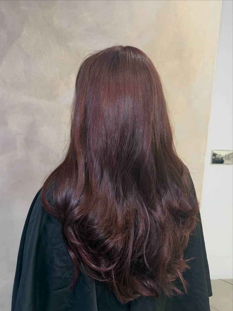24. Long Layers with Deep Cherry Tones