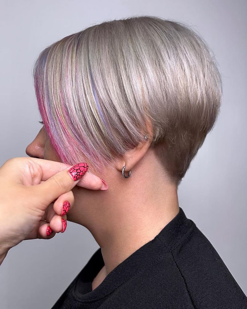 14. Pastal Pastel Peekaboo Pixie Bob