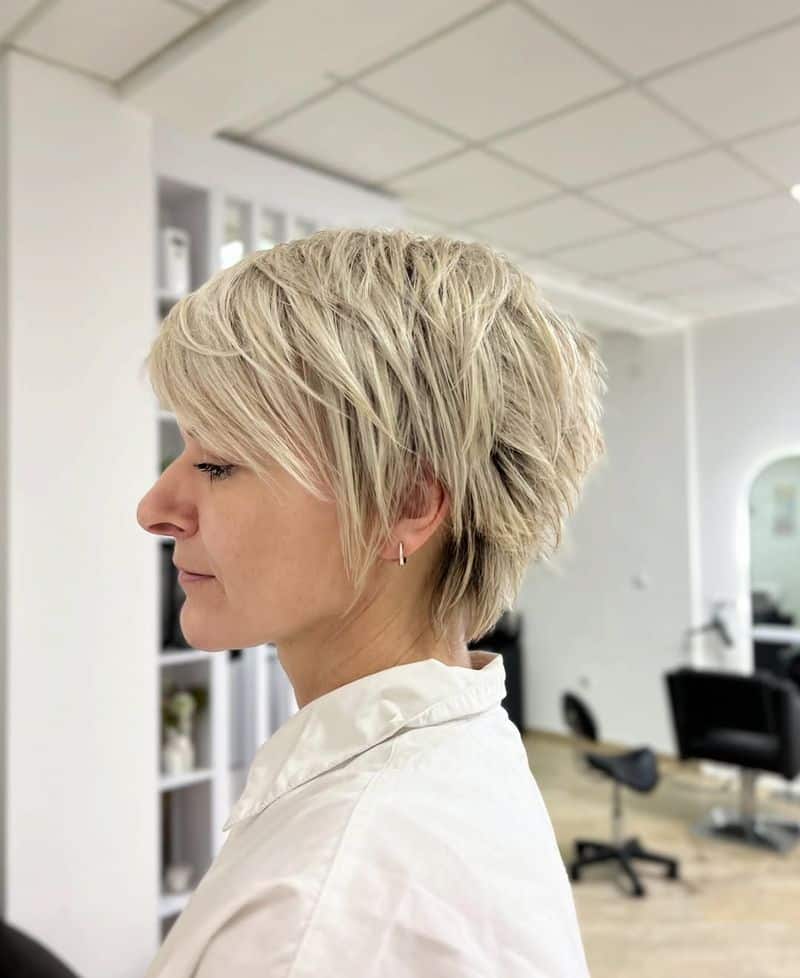 51. Platinum Piecey Pixie Bob