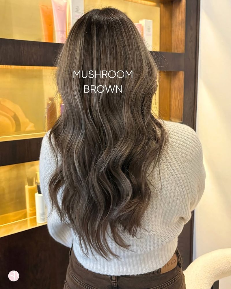 2. Soft Ash Tones on Long Waves