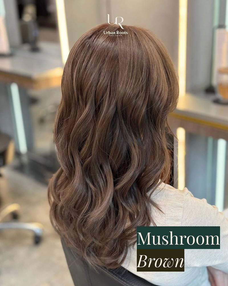 3. Soft Ash Waves
