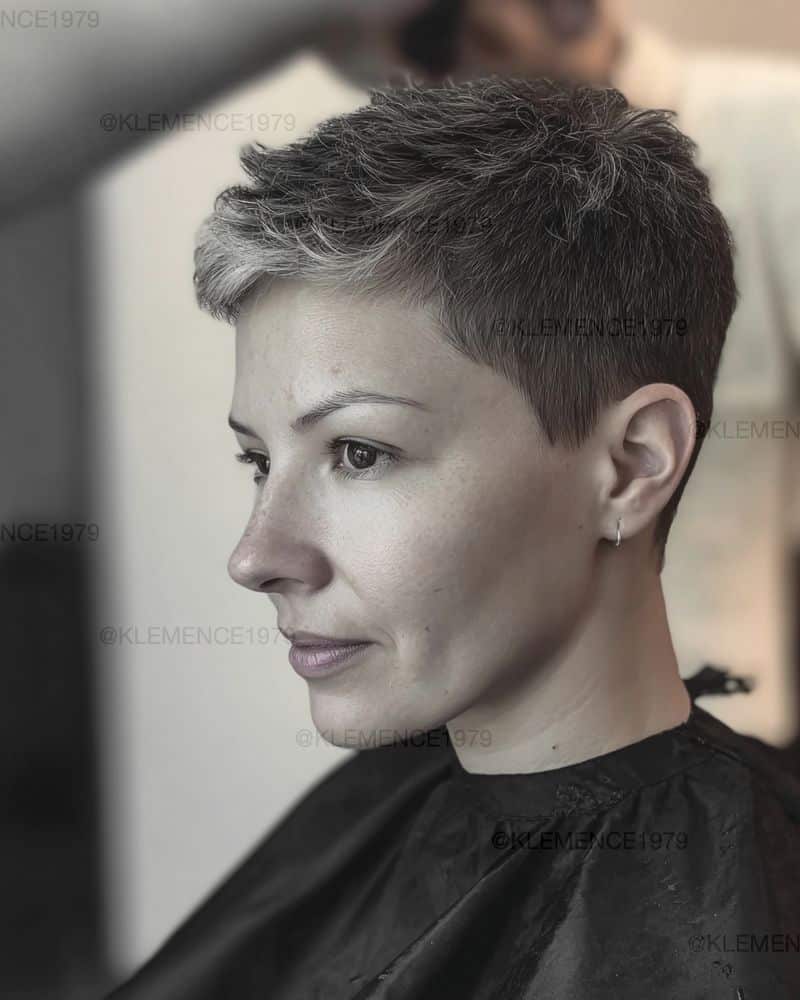 63. Textured Silver-Tipped Crop