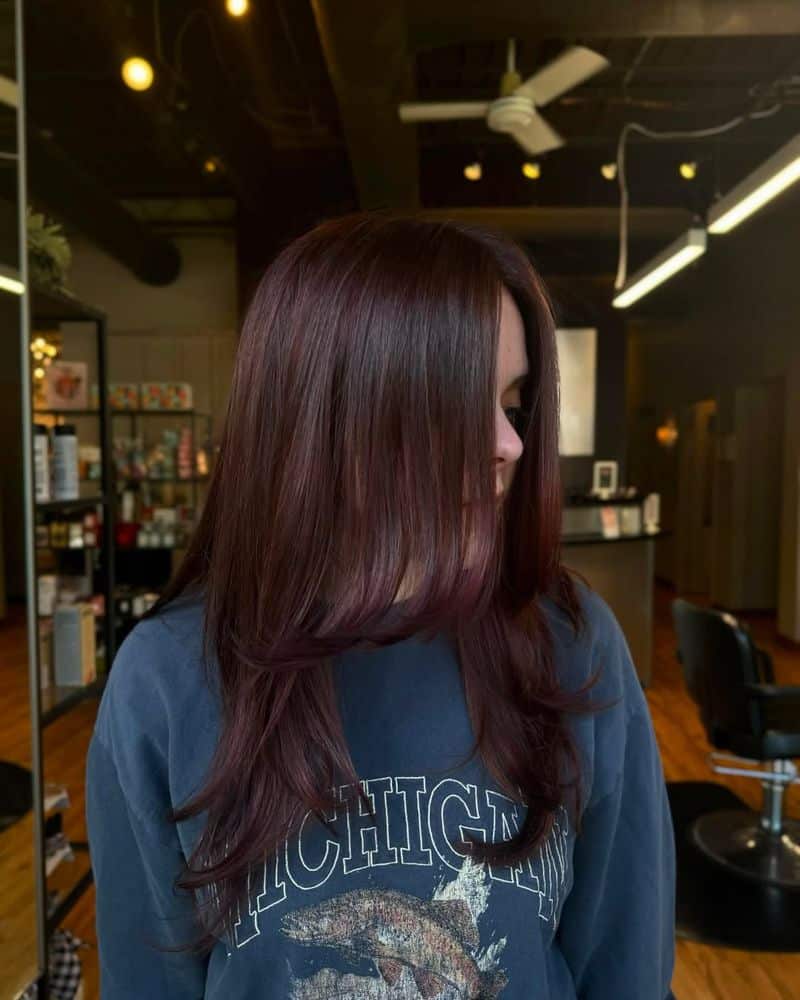 26. Velvet Burgundy Layered Waves
